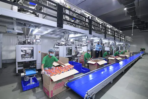 Packaging with Automatic Machines: Sealed for Freshness